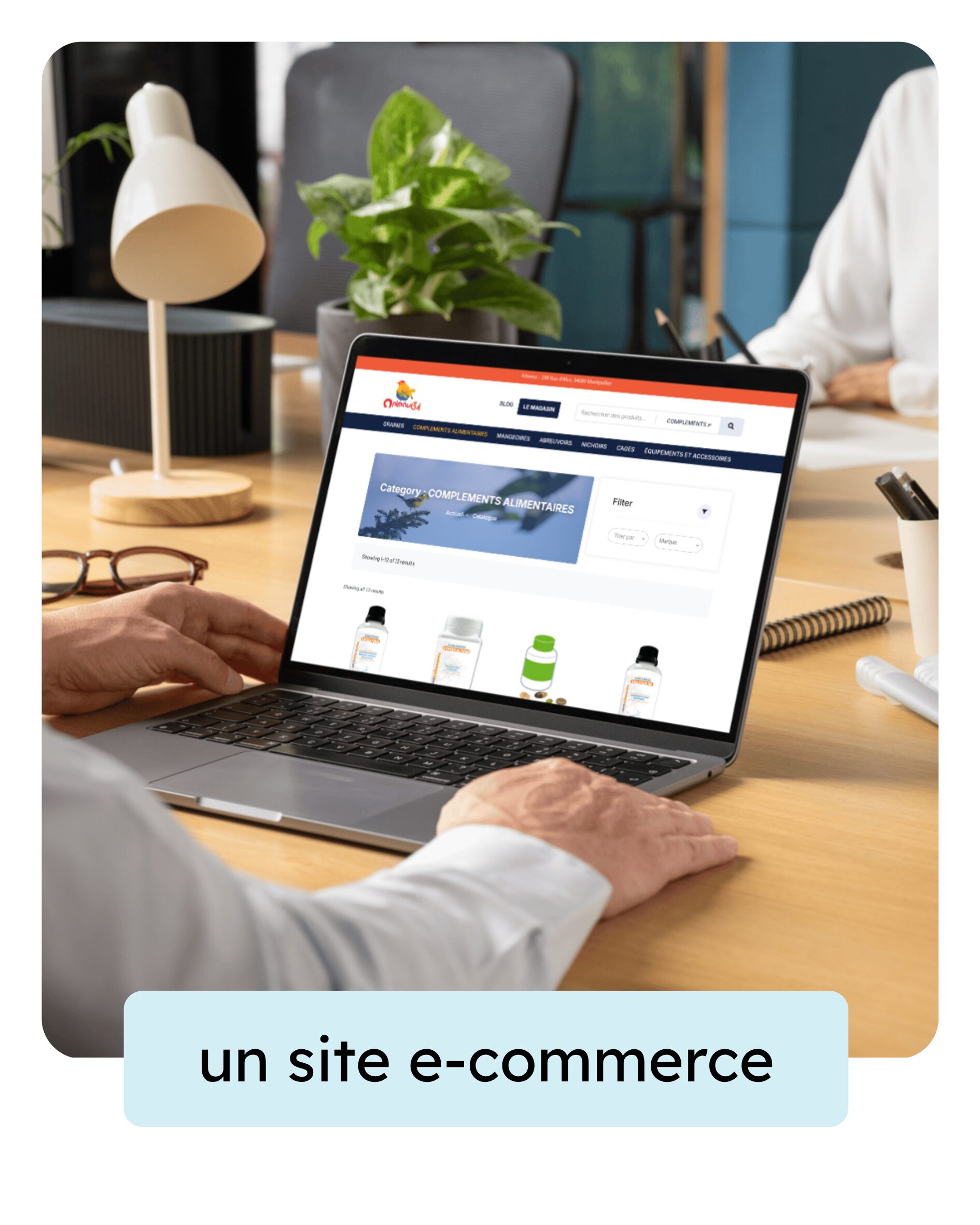 site-ecommerce